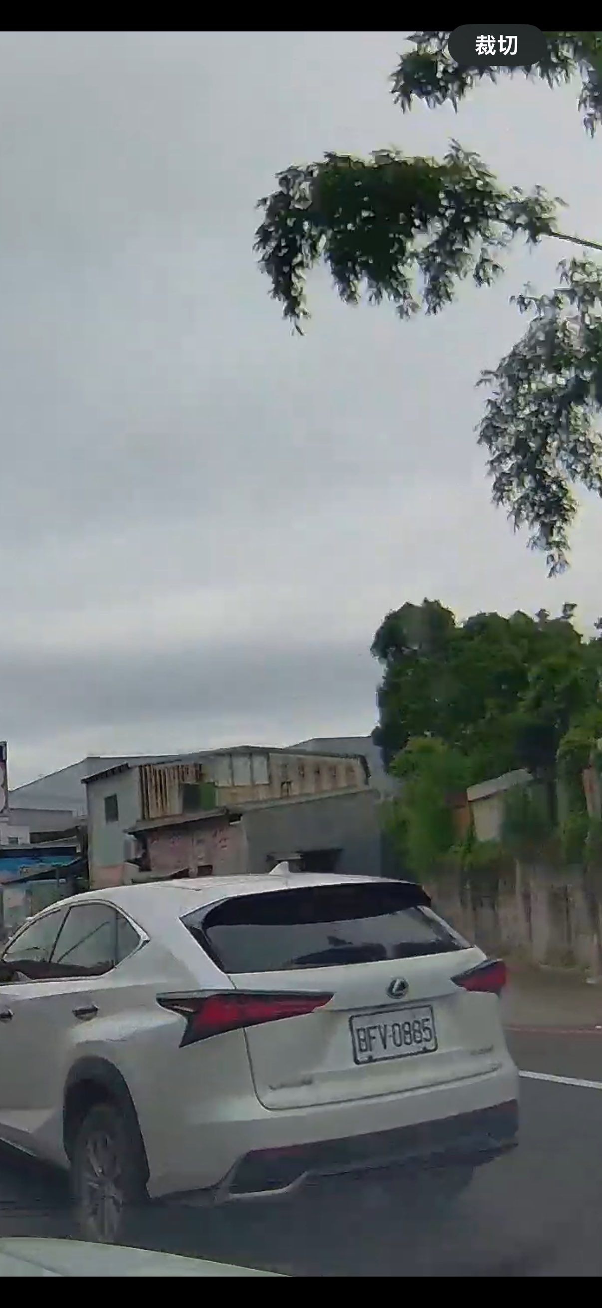 相關圖片 1