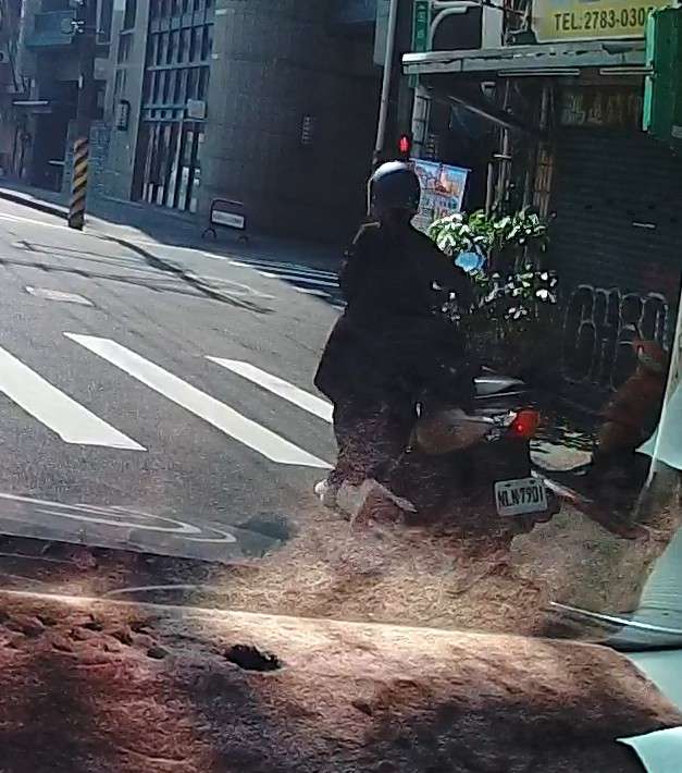 相關圖片 1