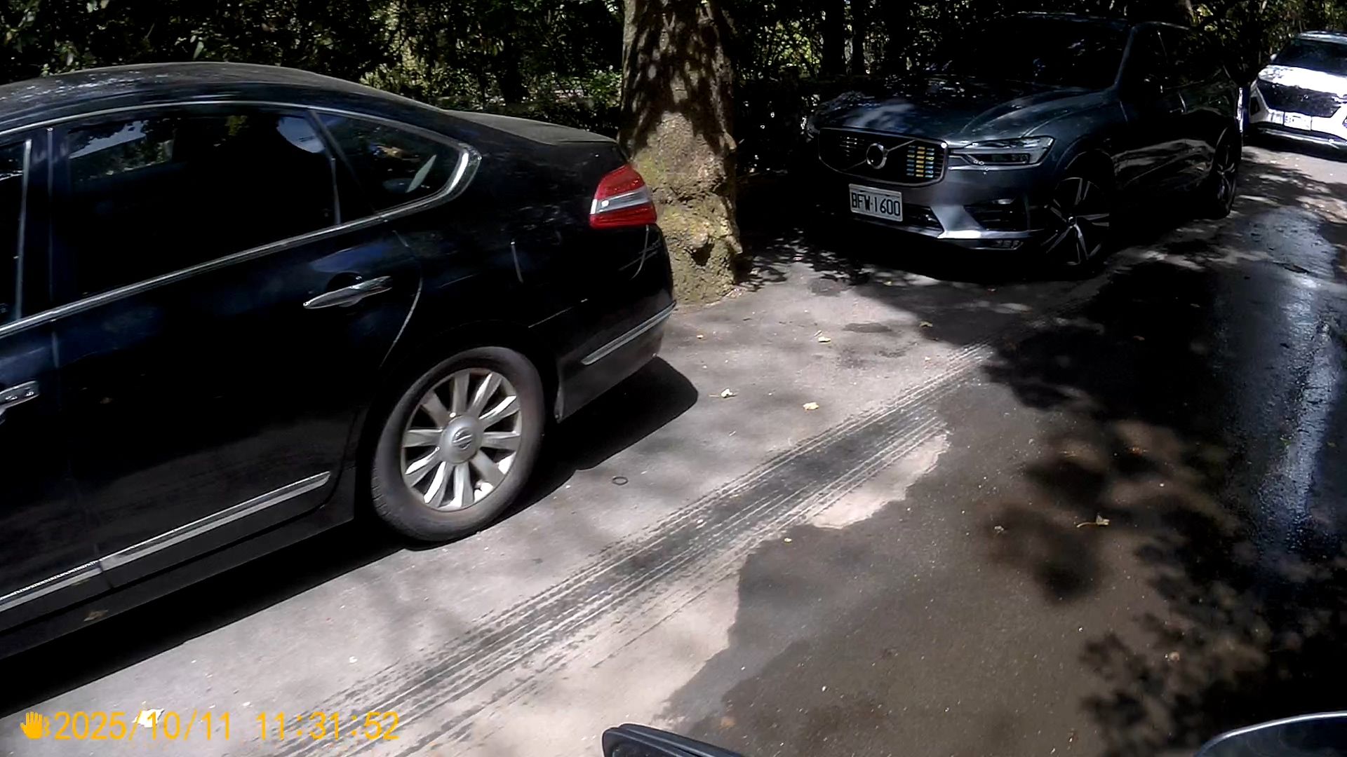 相關圖片 2