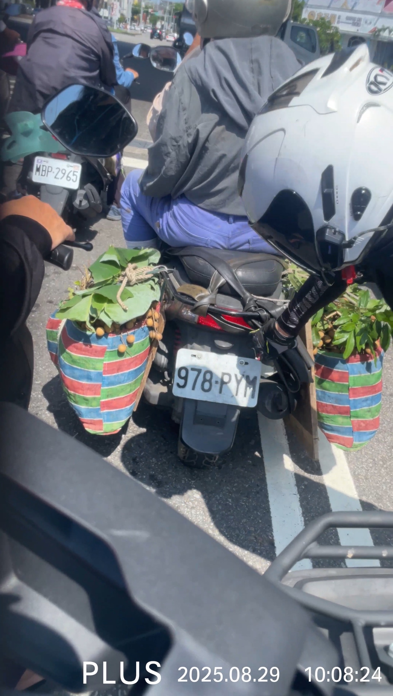 相關圖片 1