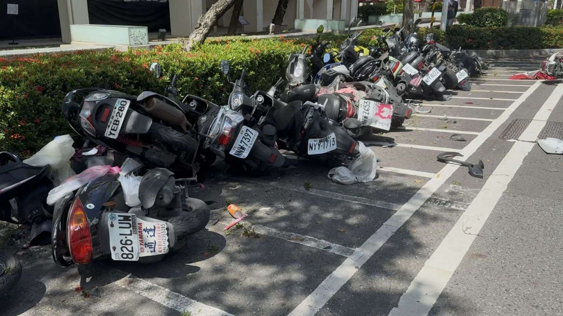 相關圖片 1