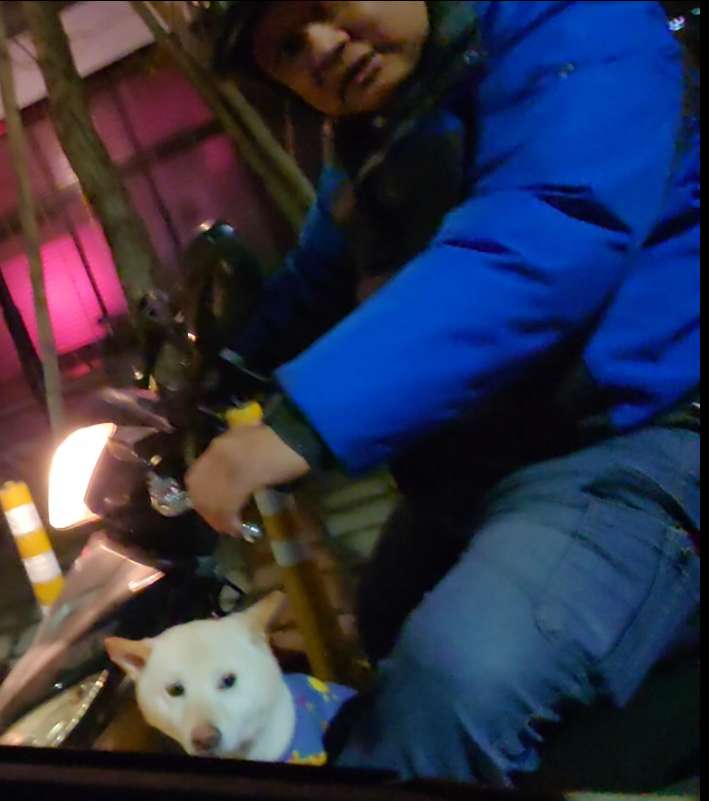 相關圖片 1
