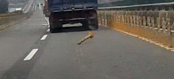 相關圖片 1