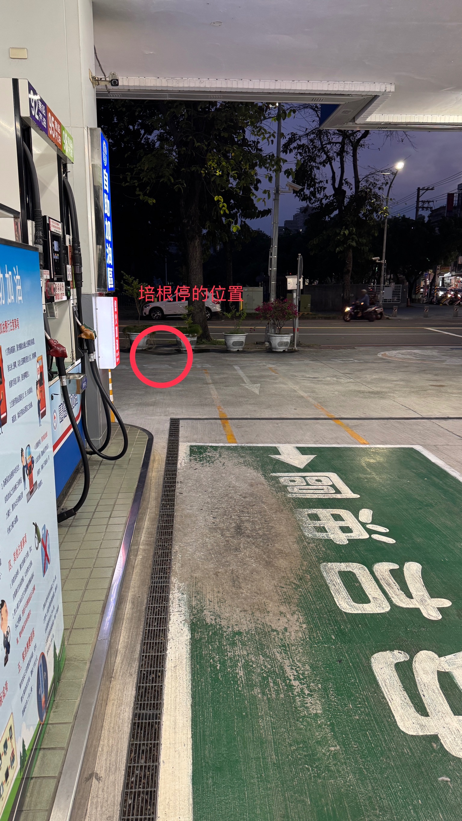 相關圖片 1
