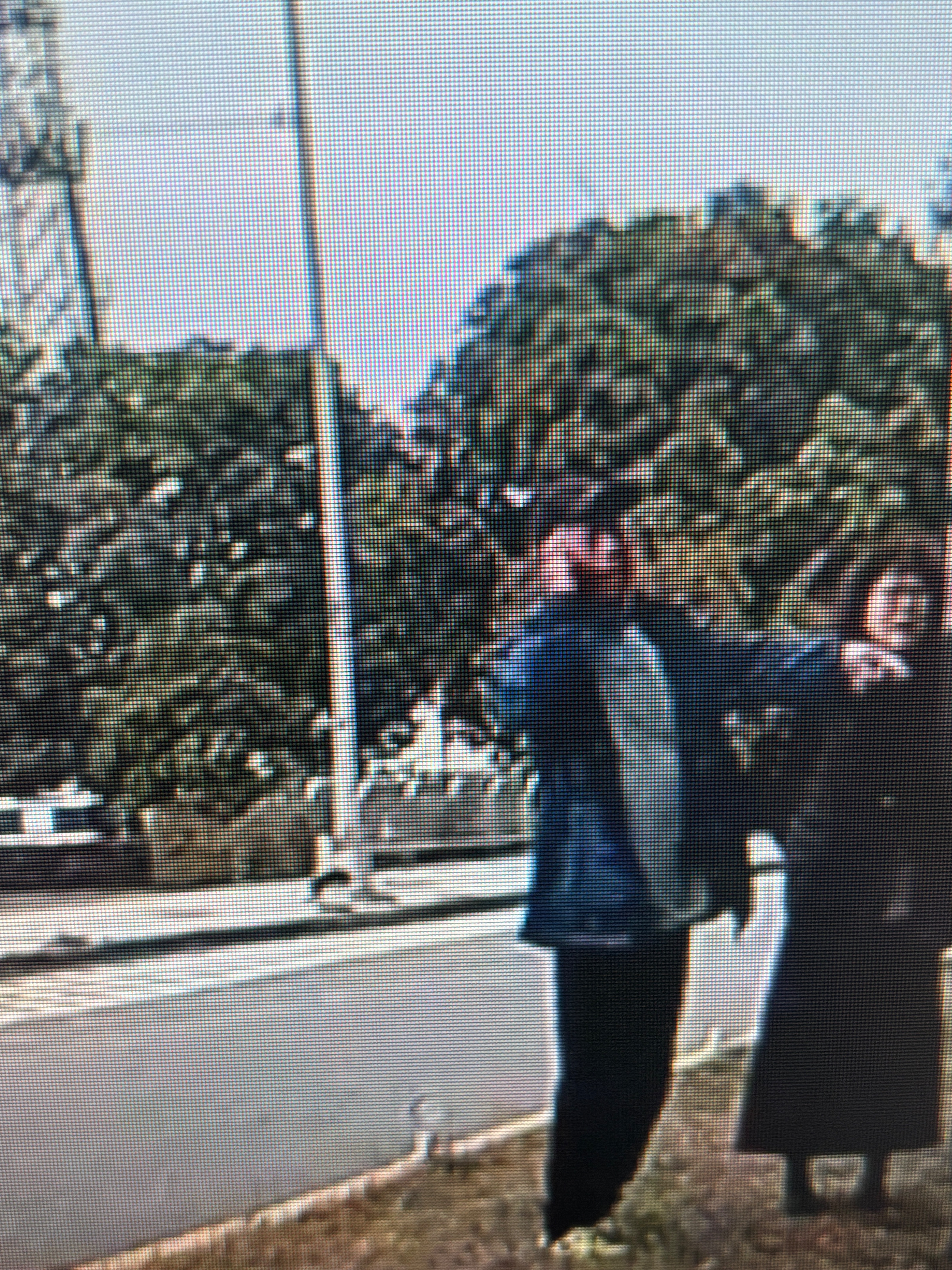 相關圖片 1
