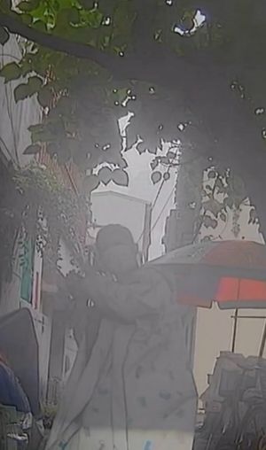 相關圖片 2