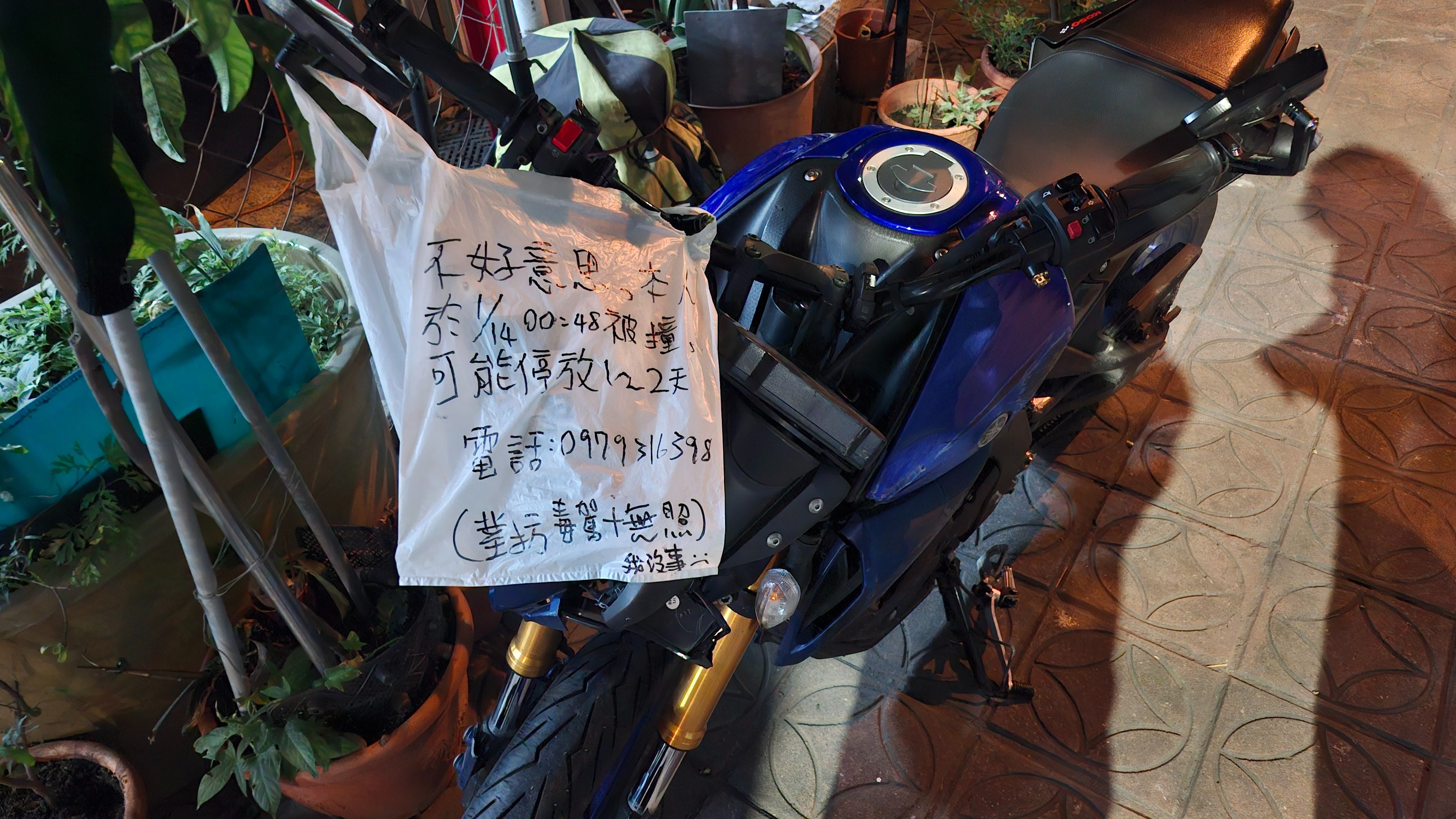 相關圖片 3