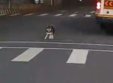 相關圖片 1
