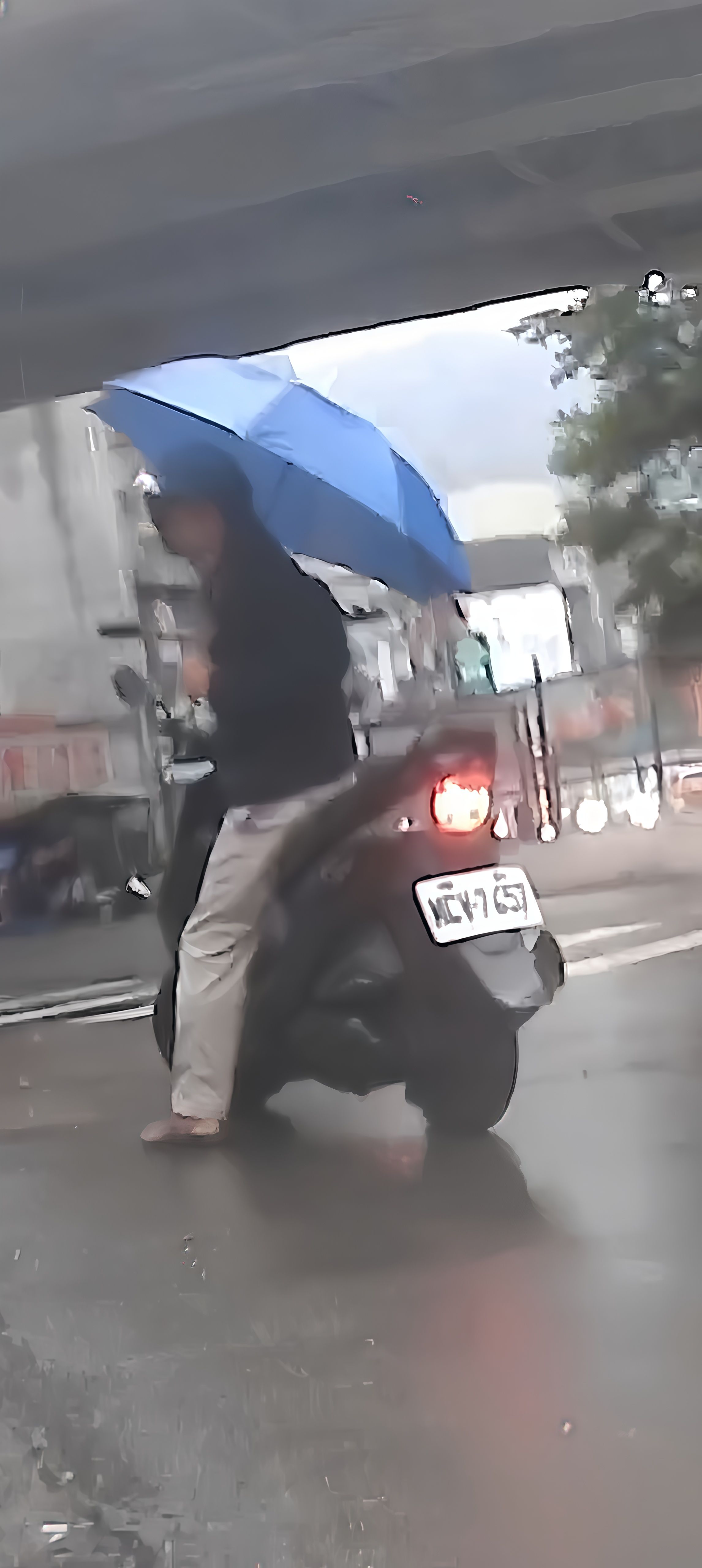 相關圖片 4