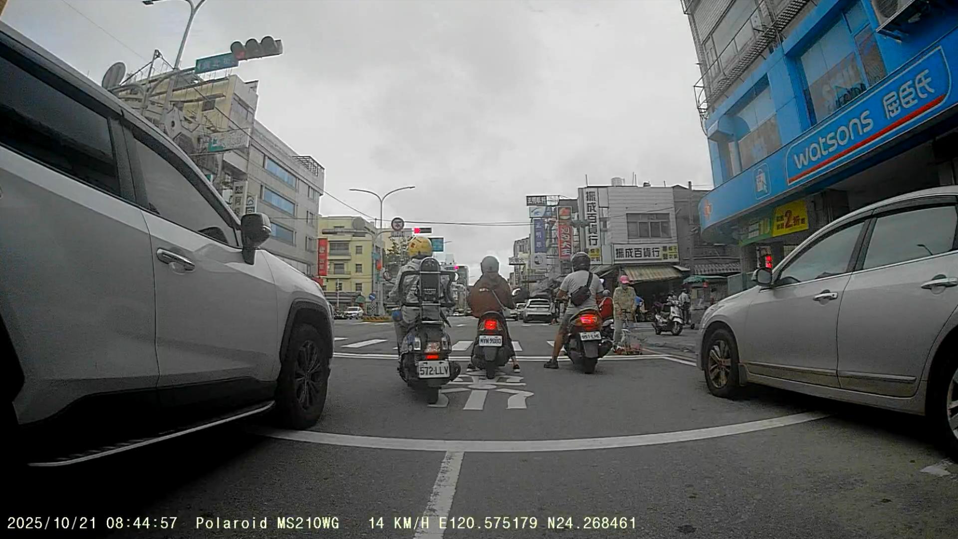 相關圖片 8