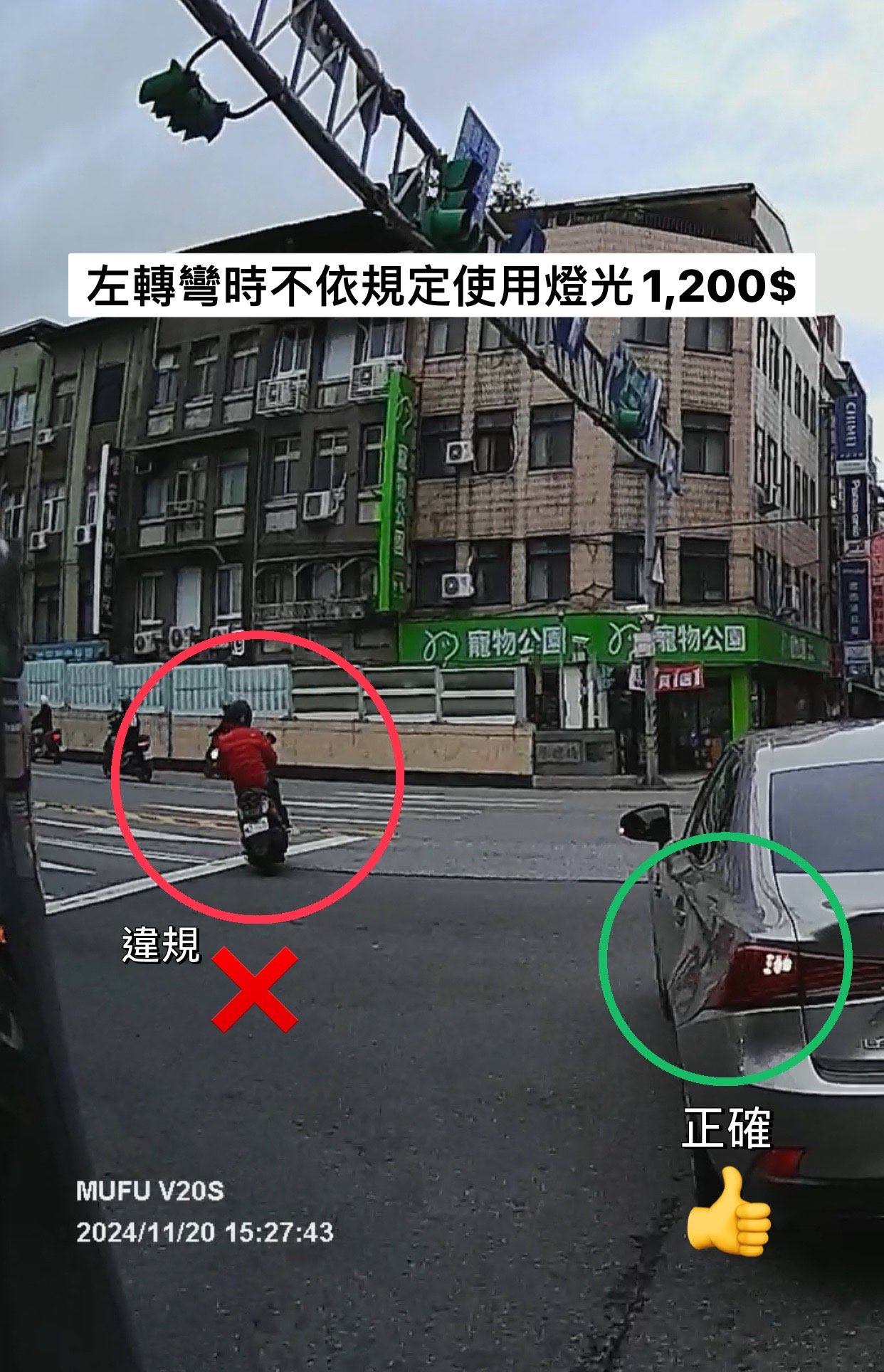相關圖片 5