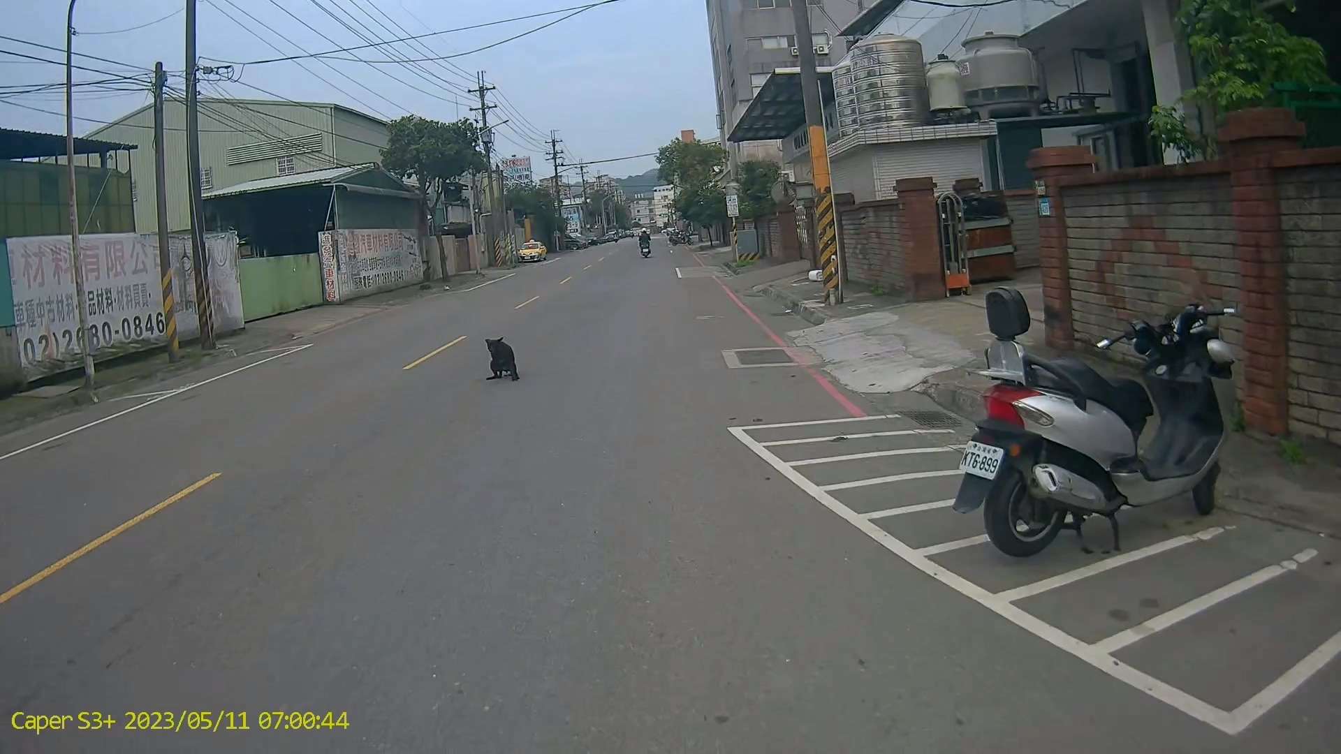 相關圖片 1