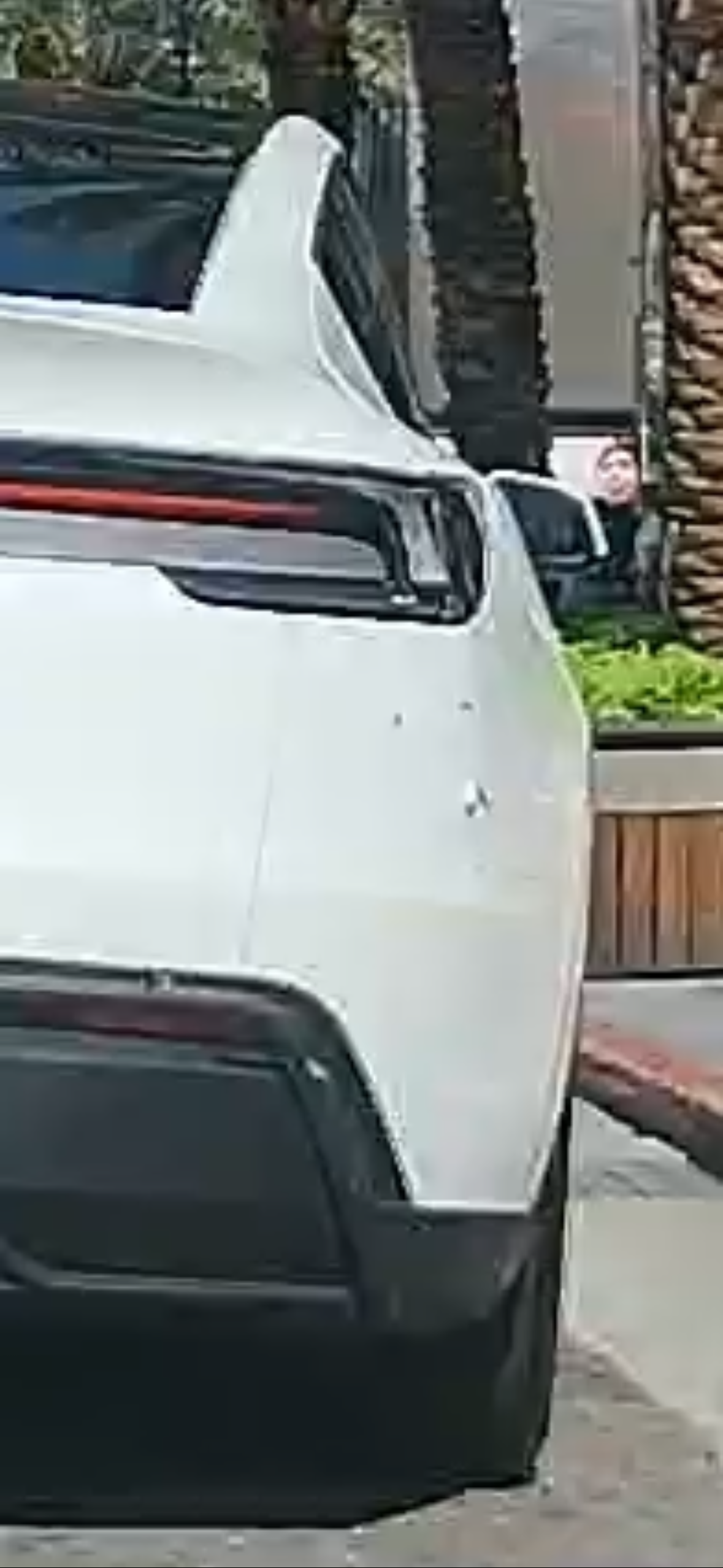 相關圖片 1