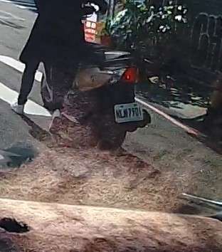 相關圖片 3