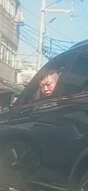 相關圖片 1