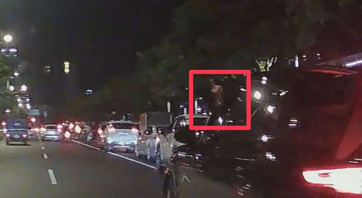 相關圖片 1