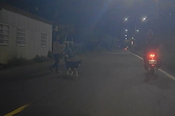 相關圖片 1