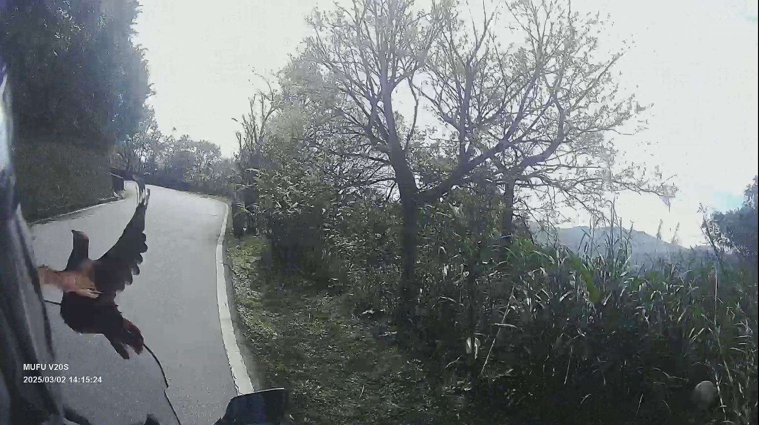 相關圖片 1