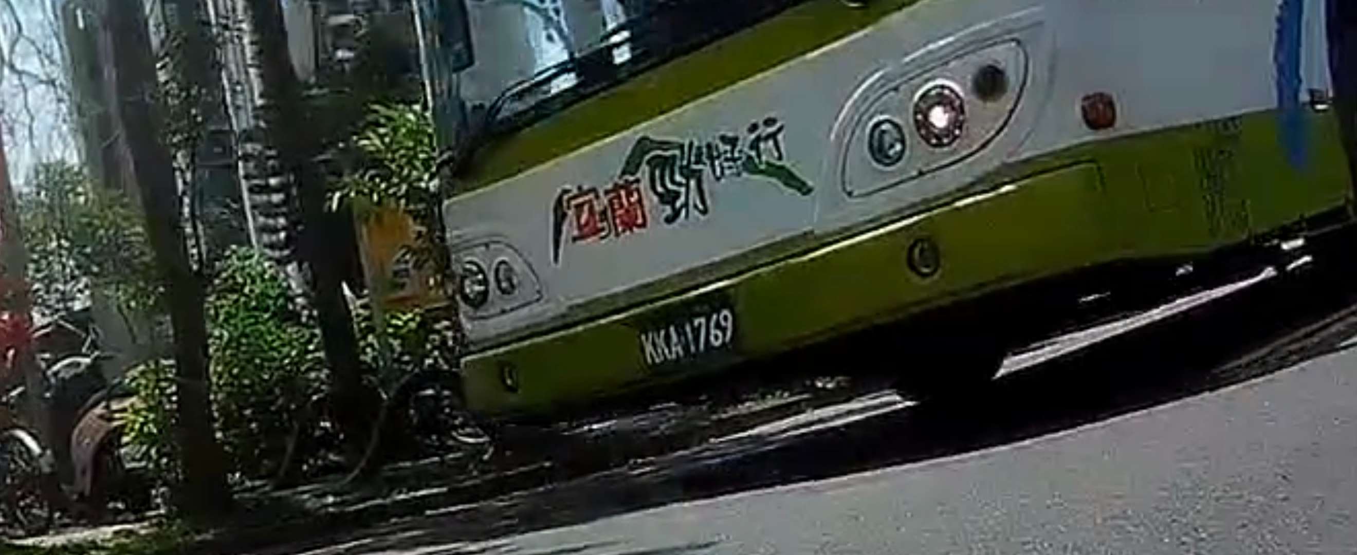 相關圖片 1