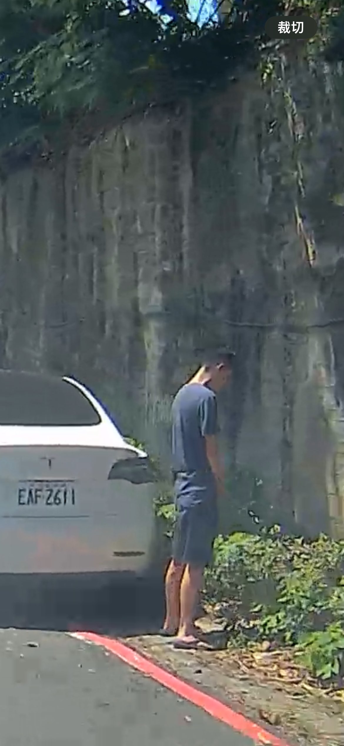 相關圖片 2