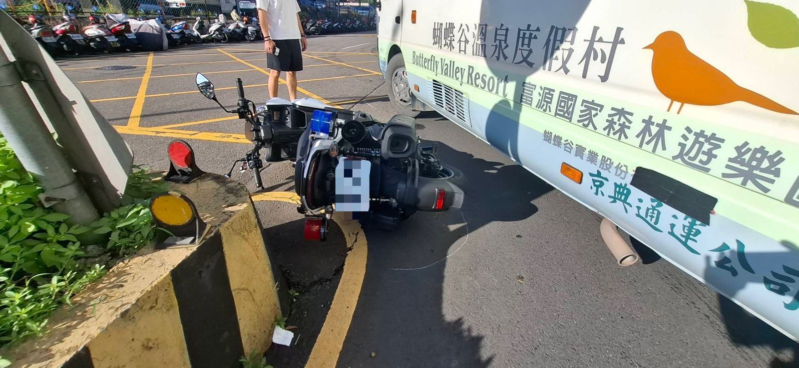 相關圖片 2