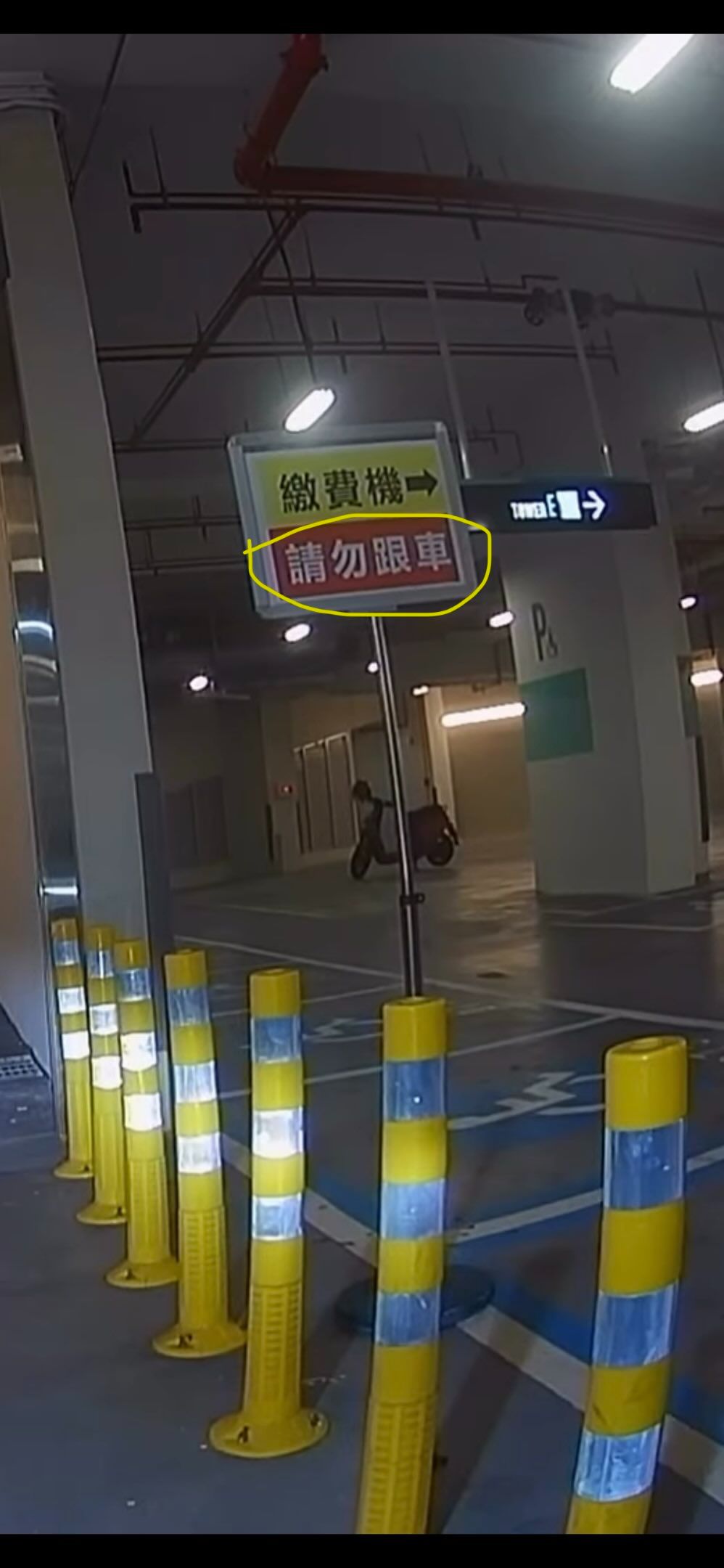 相關圖片 2