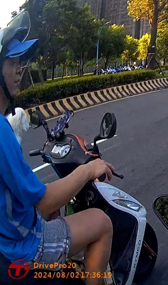 相關圖片 1